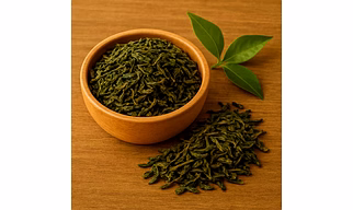 Premium Green Tea for Bulk Export Supply | Katke's Spices for B2B Global Buyers, Importers, and Suppliers