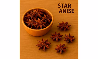 Anis Star Whole Spice for Bulk Export – Aromatic Star Anise for Blenders, Food Manufacturers and Traders | Katke's Spices for B2B Global Buyers, Importers, and Suppliers