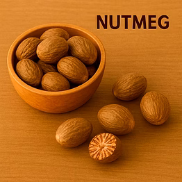 nutmeg whole spice for bulk export – aromatic nutmeg kernels for grinding and food manufacturing | katke's spices for b2b global buyers, importers, and suppliers