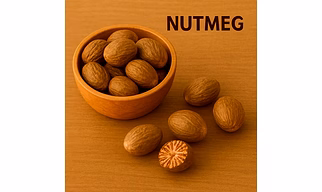 Nutmeg Whole Spice for Bulk Export – Aromatic Nutmeg Kernels for Grinding and Food Manufacturing | Katke's Spices for B2B Global Buyers, Importers, and Suppliers