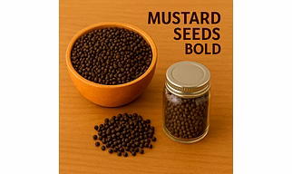 Mustard Seeds Bold for Bulk Export – Whole Bold Mustard Seeds for Oil Extraction, Pickles and Spice Processing | Katke's Spices for B2B Global Buyers, Importers, and Suppliers