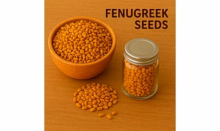 Fenugreek Seeds for Bulk Export – Whole Fenugreek for Curry Powders, Seasoning and Functional Foods | Katke's Spices for B2B Global Buyers, Importers, and Suppliers