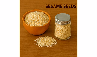 Sesame Seeds for Bulk Export – Whole Sesame Seeds for Bakery, Confectionery and Snack Manufacturing | Katke's Spices for B2B Global Buyers, Importers, and Suppliers
