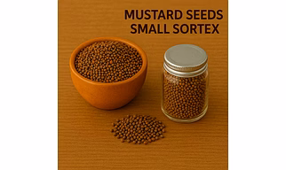 Mustard Seeds Small Sortex for Bulk Export – Sortex-Cleaned Mustard Seeds for Pickles, Sauces and Spice Blends | Katke's Spices for B2B Global Buyers, Importers, and Suppliers