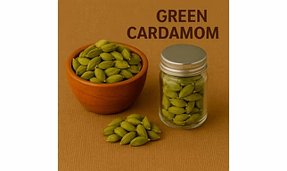 Green Cardamom Whole Pods for Bulk Export – Aromatic Cardamom for Tea, Coffee, Bakery and Confectionery | Katke's Spices for B2B Global Buyers, Importers, and Suppliers