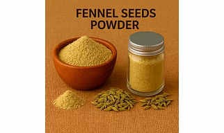 Fennel Seeds Powder for Bulk Export – Ground Fennel for Bakery, Snacks and Spice Blends | Katke's Spices for B2B Global Buyers, Importers, and Suppliers