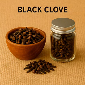 Black Clove for Bulk Export – Industrial Whole Spices Ingredient Supply | Katke's Spices for B2B Global Buyers, Importers, and Suppliers