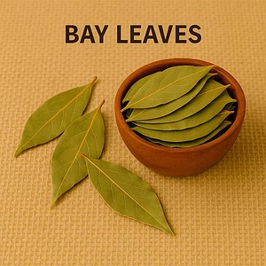 Bay Leaves for Bulk Export – Industrial Whole Spices Ingredient Supply | Katke's Spices for B2B Global Buyers, Importers, and Suppliers