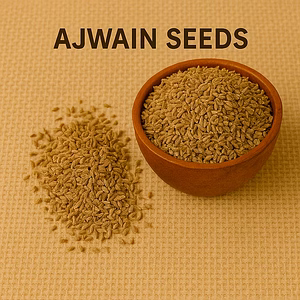 AJWAIN SEEDS for Bulk Export – Industrial Whole Spices Ingredient Supply | Katke's Spices for B2B Global Buyers, Importers, and Suppliers