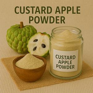 Custard Apple Powder for Bulk Export – Industrial Fruit Powders Ingredient Supply | Katke's Fruit Powders for B2B Global Buyers, Importers, and Suppliers