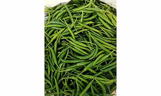 Green Chilly