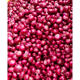 Garwa Onion
