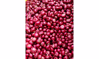 Garwa Onion