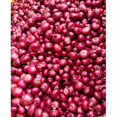 garwa onion