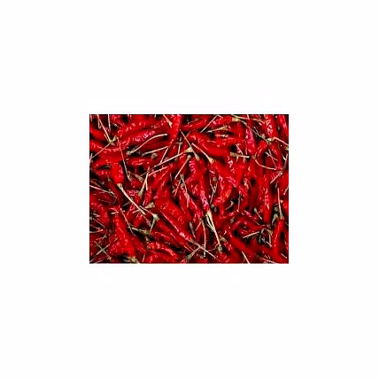 Red chilli pepper-1