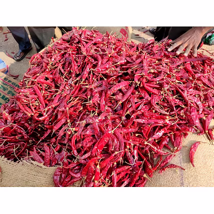 Red chilli pepper-12748151