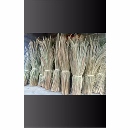 natural broom grass (tiger grass) – raw, unprocessed bundles