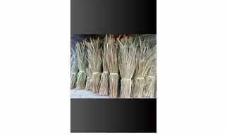Natural Broom Grass (Tiger Grass) – Raw, Unprocessed Bundles