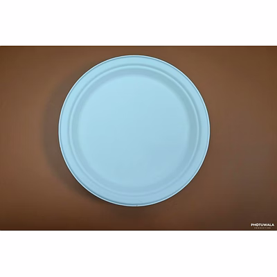 biodegradable 11'' round plate