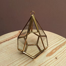 metal and glass terrarium