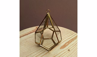 Metal and glass Terrarium