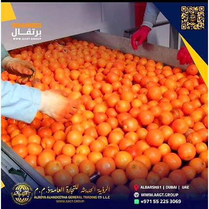 Orange-2