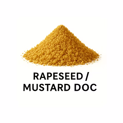 Rapseed/Mustard DOC-1010
