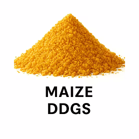 Maize DDGS