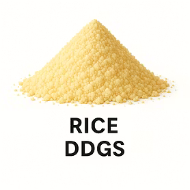 Rice DDGS