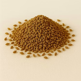 ajwain for bulk export and wholesale supply | spices and herbs commodity for global buyers