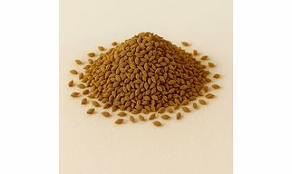 Ajwain for Bulk Export and Wholesale Supply | Spices and Herbs Commodity for Global Buyers
