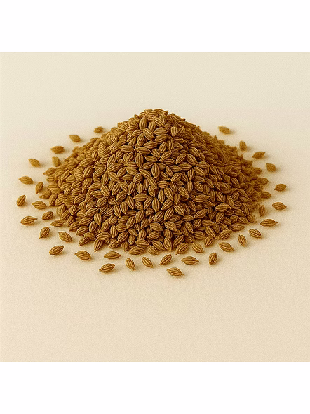 Ajwain for Bulk Export and Wholesale Supply | Spices and Herbs Commodity for Global Buyers