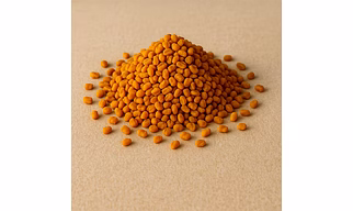 Fenugreek for Bulk Export and Wholesale Supply | Spices and Herbs Commodity for Global Buyers