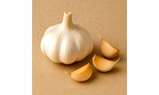 Garlic for Bulk Export and Wholesale Supply | Spices and Herbs Commodity for Global Buyers