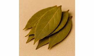 Bay Leaves for Bulk Export and Wholesale Supply | Spices and Herbs Commodity for Global Buyers