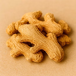 ginger for bulk export and wholesale supply | spices and herbs commodity for global buyers