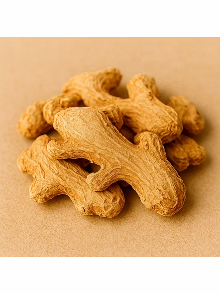 Ginger for Bulk Export and Wholesale Supply | Spices and Herbs Commodity for Global Buyers