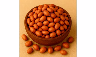 Groundnut Seeds for Bulk Export and Wholesale Supply | Oil Seeds Commodity for Global Buyers