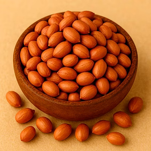Groundnut Seeds for Bulk Export and Wholesale Supply | Oil Seeds Commodity for Global Buyers