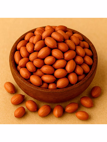 Groundnut Seeds for Bulk Export and Wholesale Supply | Oil Seeds Commodity for Global Buyers