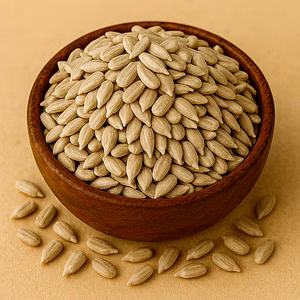 Sunflower Seeds for Bulk Export and Wholesale Supply | Oil Seeds Commodity for Global Buyers
