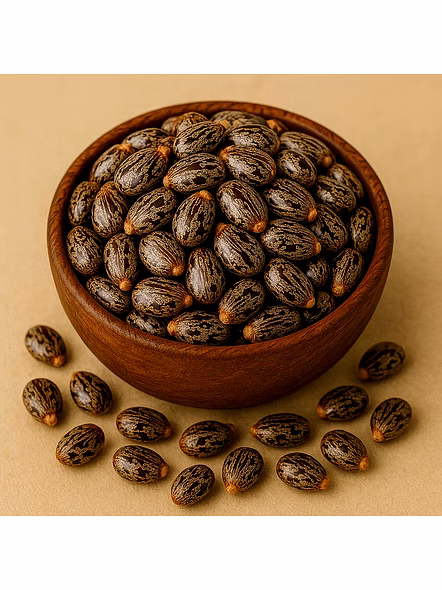 Canola Seeds for Bulk Export and Wholesale Supply | Oil Seeds Commodity for Global Buyers