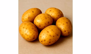 Potatoes for Bulk Export and Wholesale Supply | Fresh Produce and Agri Products Commodity for Global Buyers