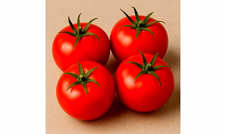 Tomatoes for Bulk Export and Wholesale Supply | Fresh Produce and Agri Products Commodity for Global Buyers