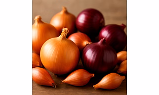 Onions for Bulk Export and Wholesale Supply | Fresh Produce and Agri Products Commodity for Global Buyers
