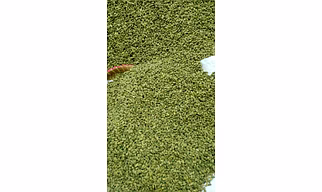 Green Cardamom
