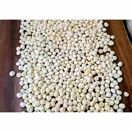 makhana/ foxnuts