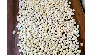 Makhana/ Foxnuts