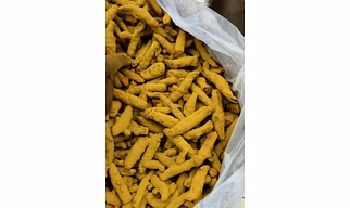 Turmeric