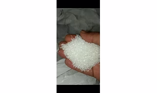 sugar